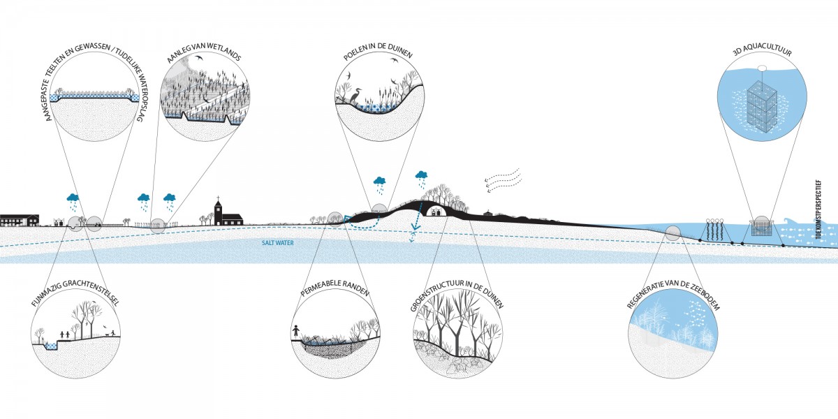 1010_OOSTENDE KUSTLINT 10